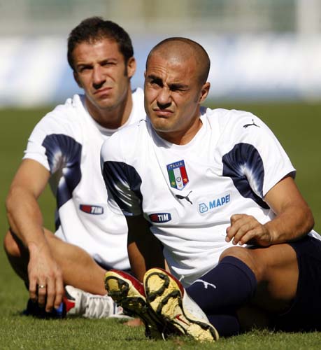 成功引进 成功引进