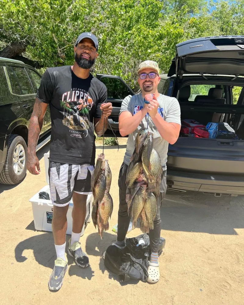 这次活动的 这次活动的