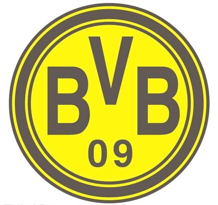 球星与教练 球星与教练