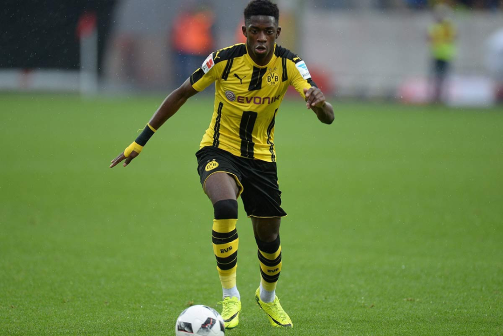 如果你需要 如果你需要